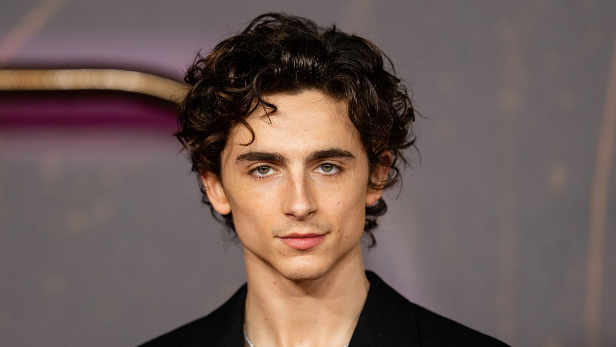 Top 10 Timothee Chalamet Movies of All Time